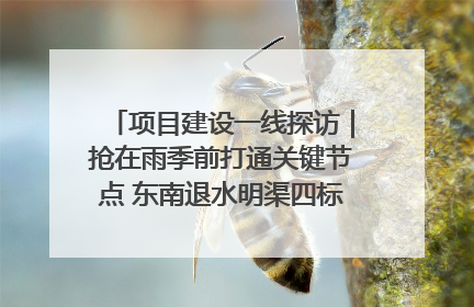 项目建设一线探访｜抢在雨季前打通关键节点 东南退水明渠四标段项目顺利完工