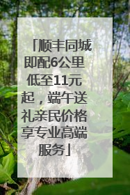 顺丰同城即配6公里低至11元起，端午送礼亲民价格享专业高端服务