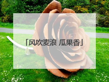 风吹麦浪 瓜果香
