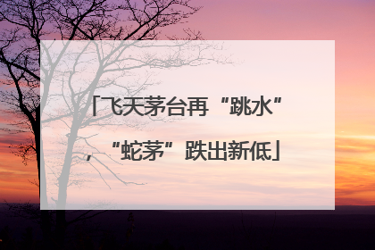 飞天茅台再“跳水”，“蛇茅”跌出新低