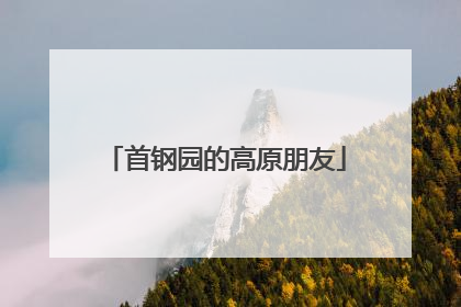 首钢园的高原朋友