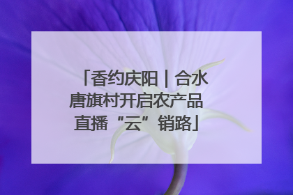 香约庆阳｜合水唐旗村开启农产品直播“云”销路