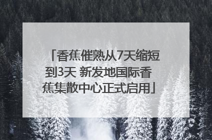 香蕉催熟从7天缩短到3天 新发地国际香蕉集散中心正式启用