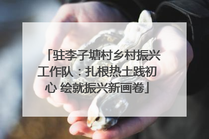 驻李子塘村乡村振兴工作队：扎根热土践初心 绘就振兴新画卷