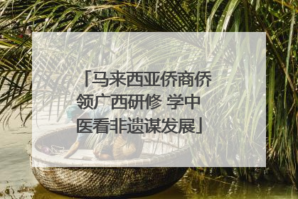 马来西亚侨商侨领广西研修 学中医看非遗谋发展