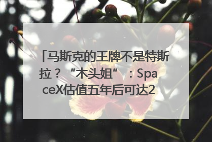 马斯克的王牌不是特斯拉？“木头姐”：SpaceX估值五年后可达2.5万亿美元！