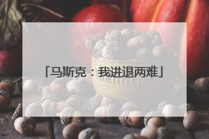 马斯克：我进退两难