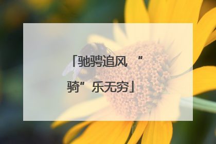 驰骋追风 “骑”乐无穷