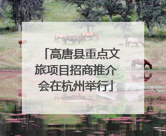 高唐县重点文旅项目招商推介会在杭州举行