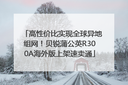高性价比实现全球异地组网！贝锐蒲公英R300A海外版上架速卖通