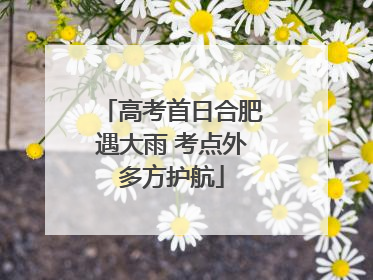 高考首日合肥遇大雨 考点外多方护航