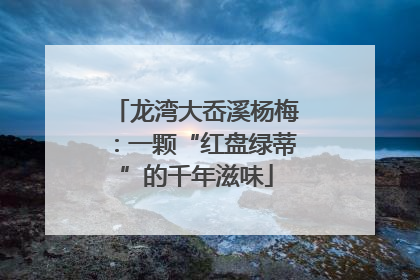 龙湾大岙溪杨梅：一颗“红盘绿蒂”的千年滋味