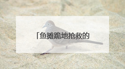 鱼摊跪地抢救的药师吴梅梅获“见义勇为”表彰