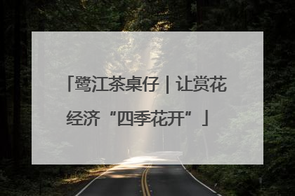 鹭江茶桌仔｜让赏花经济“四季花开”