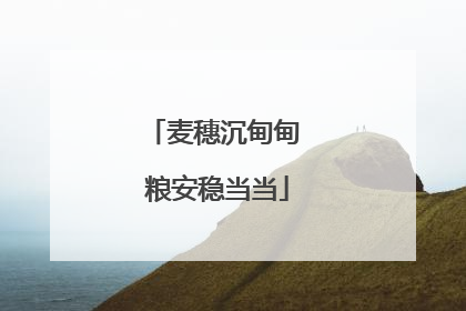 麦穗沉甸甸 粮安稳当当