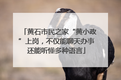 黄石市民之家“黄小政”上岗，不仅能聊天办事还能听懂多种语言