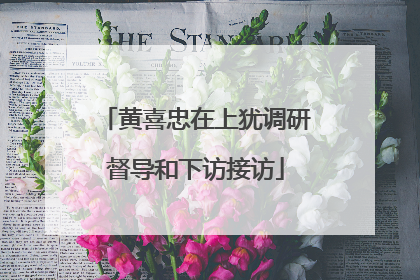 黄喜忠在上犹调研督导和下访接访