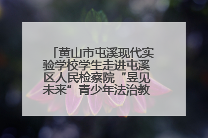 黄山市屯溪现代实验学校学生走进屯溪区人民检察院“昱见未来”青少年法治教育宣传基地