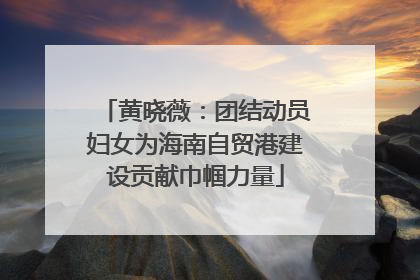 黄晓薇：团结动员妇女为海南自贸港建设贡献巾帼力量