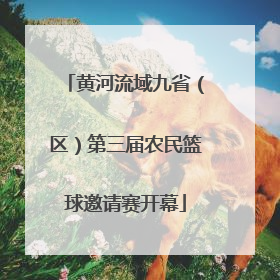黄河流域九省（区）第三届农民篮球邀请赛开幕