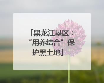 黑龙江垦区：“用养结合”保护黑土地