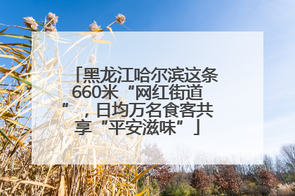 黑龙江哈尔滨这条660米“网红街道”，日均万名食客共享“平安滋味”
