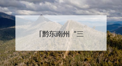 黔东南州“三项行动”优化招投标环境
