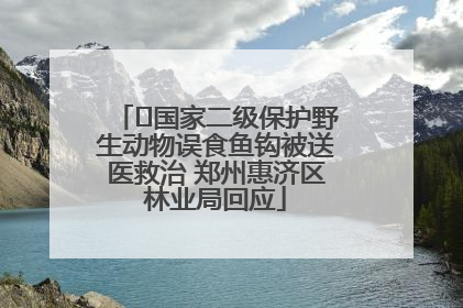 ﻿国家二级保护野生动物误食鱼钩被送医救治 郑州惠济区林业局回应