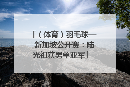 （体育）羽毛球——新加坡公开赛：陆光祖获男单亚军