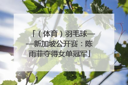 （体育）羽毛球——新加坡公开赛：陈雨菲夺得女单冠军