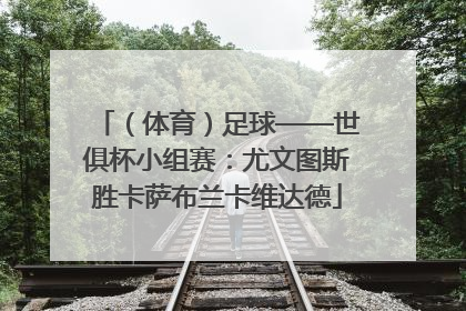 （体育）足球——世俱杯小组赛：尤文图斯胜卡萨布兰卡维达德
