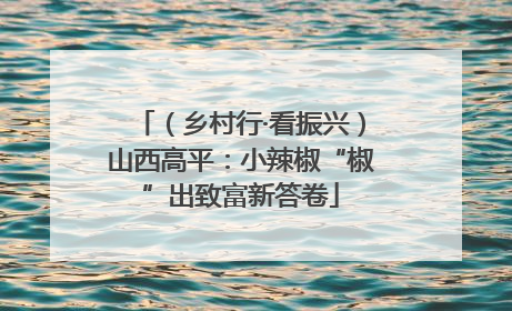 （乡村行·看振兴）山西高平：小辣椒“椒”出致富新答卷
