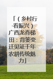 （乡村行·看振兴）广西龙脊梯田：背篓变迁见证千年农耕传统魅力