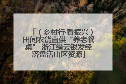 （乡村行·看振兴）田间农货直供“养老餐桌” 浙江缙云银发经济盘活山区资源