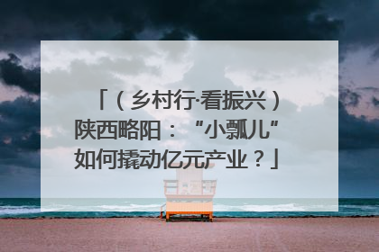 （乡村行·看振兴）陕西略阳：“小瓢儿”如何撬动亿元产业？