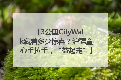 3公里CityWalk藏着多少惊喜？沪疆童心手拉手，“益起走”