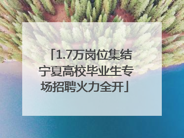 1.7万岗位集结 宁夏高校毕业生专场招聘火力全开