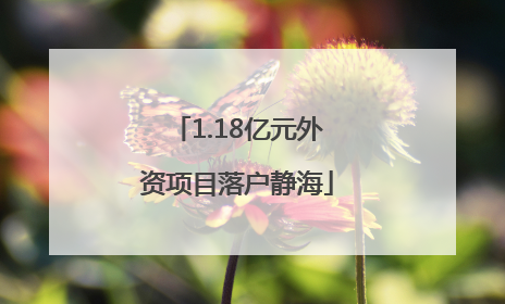 1.18亿元外资项目落户静海