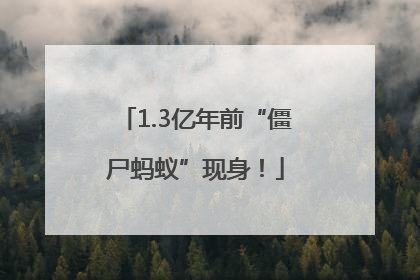1.3亿年前“僵尸蚂蚁”现身！