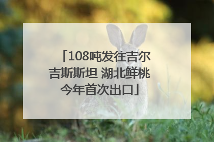 108吨发往吉尔吉斯斯坦 湖北鲜桃今年首次出口