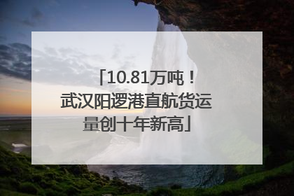 10.81万吨！武汉阳逻港直航货运量创十年新高