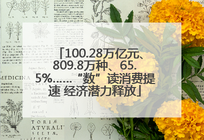 100.28万亿元、809.8万种、65.5%……“数”读消费提速 经济潜力释放