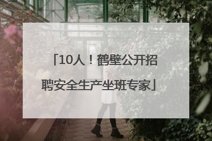 10人！鹤壁公开招聘安全生产坐班专家