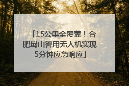 15公里全覆盖！合肥蜀山警用无人机实现5分钟应急响应