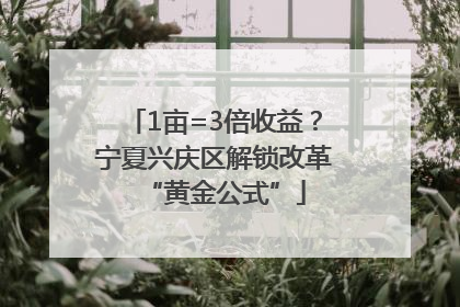 1亩=3倍收益？宁夏兴庆区解锁改革“黄金公式”