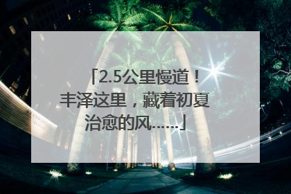 2.5公里慢道！丰泽这里，藏着初夏治愈的风……