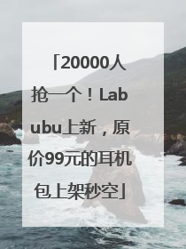 20000人抢一个！Labubu上新，原价99元的耳机包上架秒空