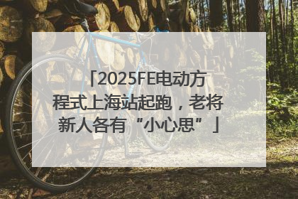 2025FE电动方程式上海站起跑，老将新人各有“小心思”