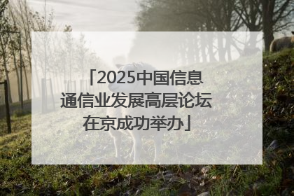 2025中国信息通信业发展高层论坛在京成功举办
