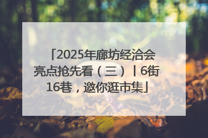 2025年廊坊经洽会亮点抢先看（三）丨6街16巷，邀你逛市集